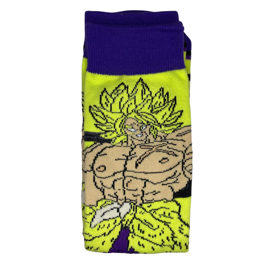 Broly - HouseSocks